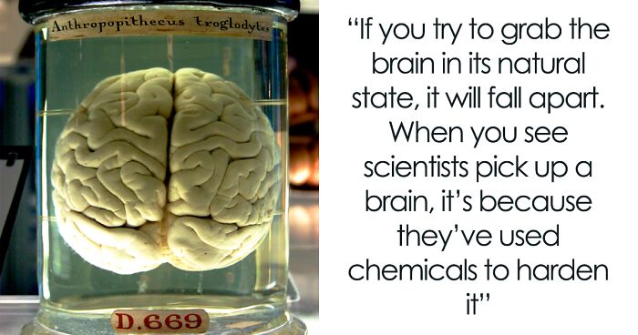 Guy Shares Disturbing Facts To “Ruin Your Day” And Here’s 35 Of The Most Upsetting Ones