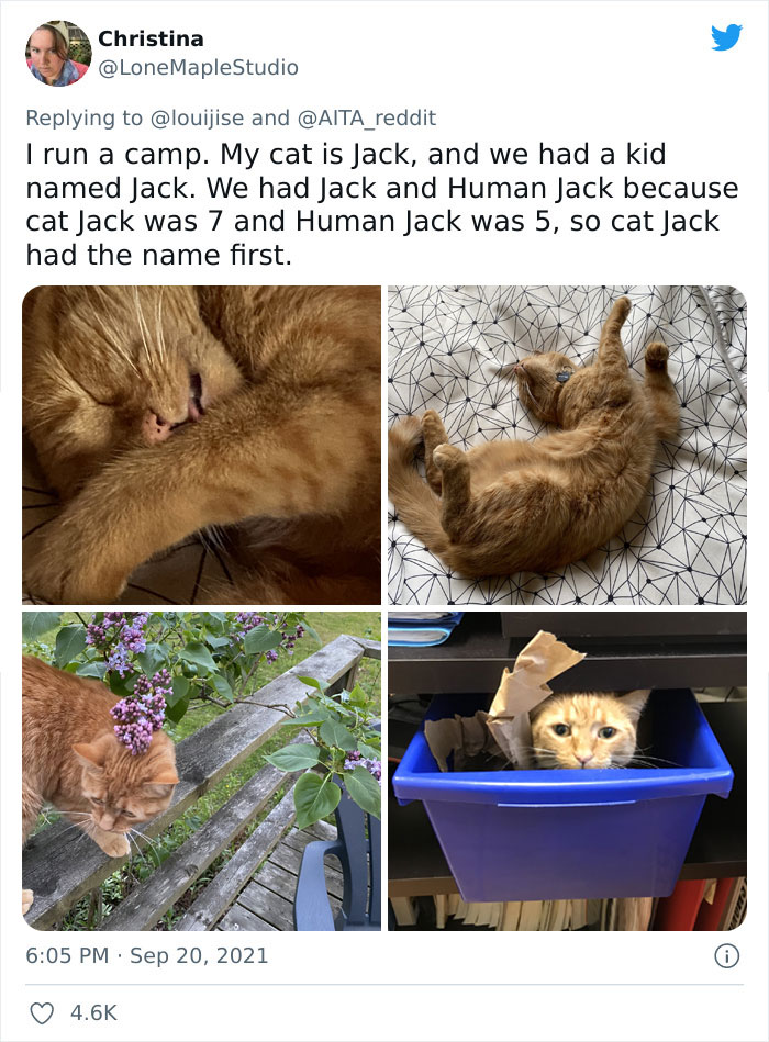 Person Gives Their Dog A Human Name, Turns Out His Sister’s Boyfriend Is Named The Same And Family Drama Ensues Person Gives Their Dog A Human Name, Turns Out His Sister’s Boyfriend Is Named The Same And Family Drama Ensues