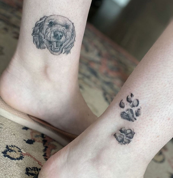 Paw Prints