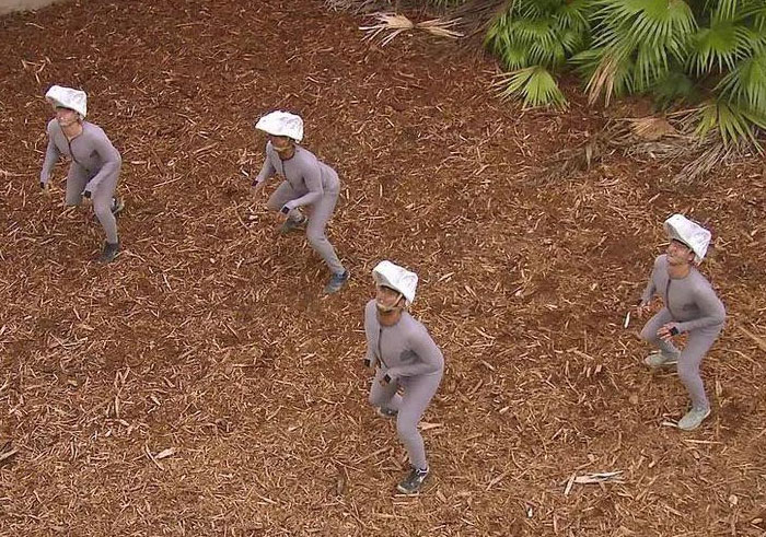 TikToker Shares "Fun Facts You May Have Not Wanted To Know", Here Are 30 Of The Best