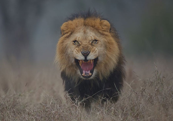 TikToker Shares "Fun Facts You May Have Not Wanted To Know", Here Are 30 Of The Best