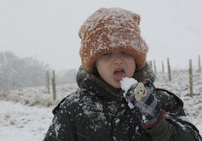 TikToker Shares "Fun Facts You May Have Not Wanted To Know", Here Are 30 Of The Best