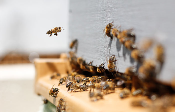 TikToker Shares "Fun Facts You May Have Not Wanted To Know", Here Are 30 Of The Best