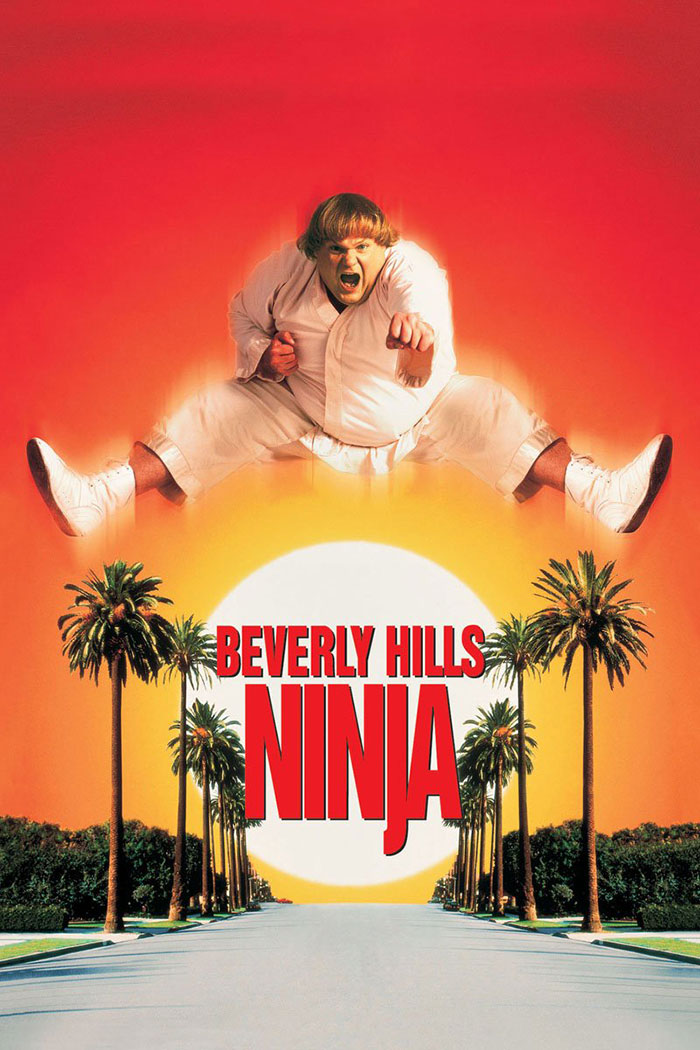 Beverly Hills Ninja
