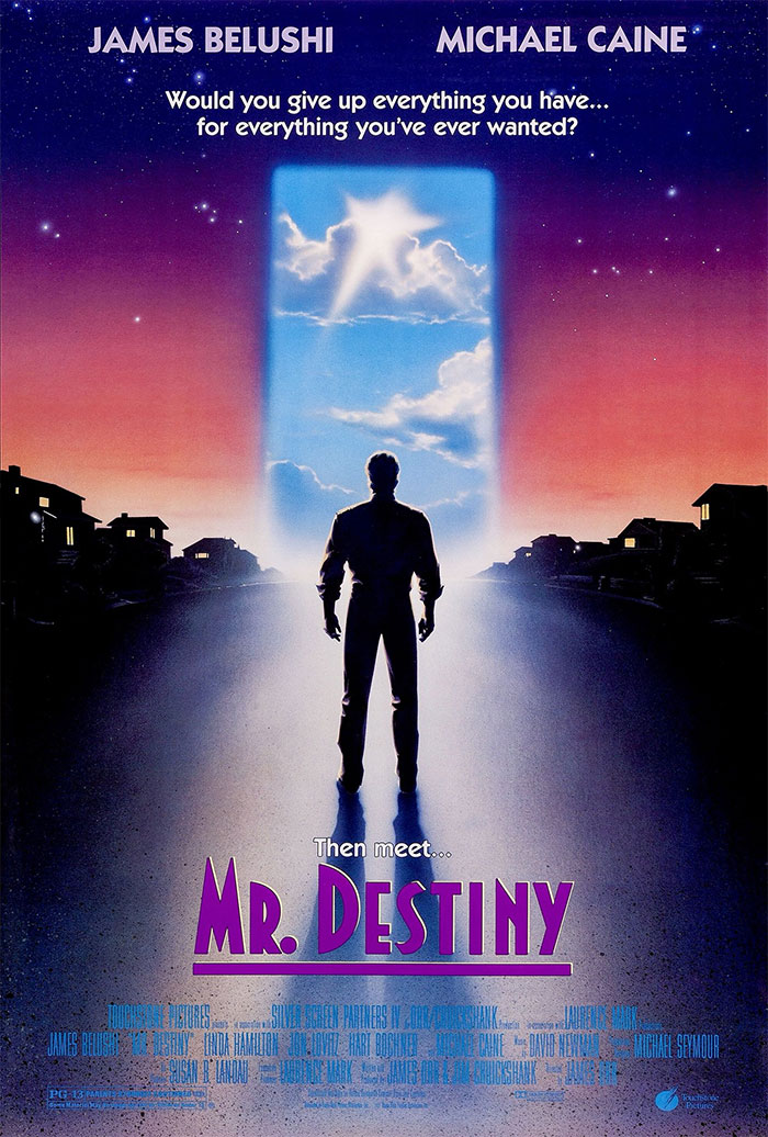 Mr. Destiny