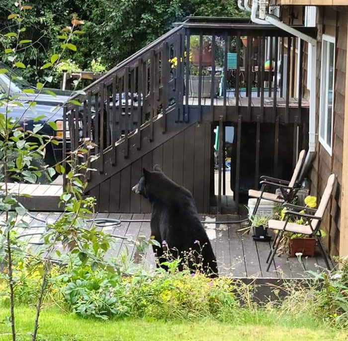 Waiting For His Uber