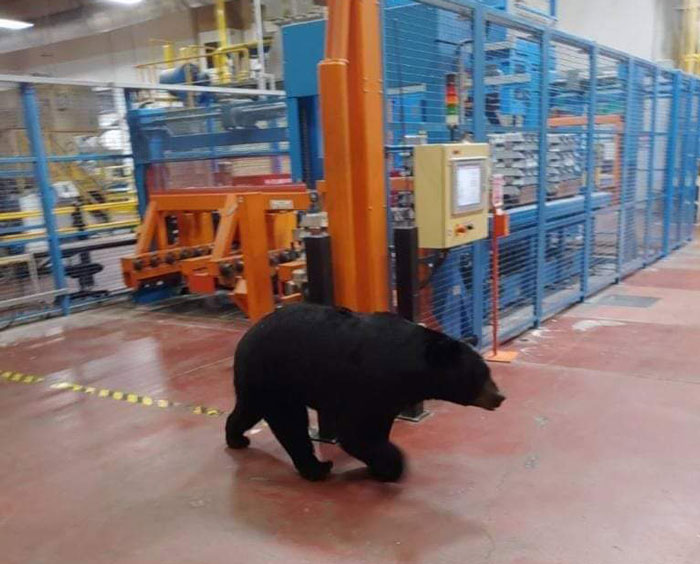 Absolutely No PPE In Sight