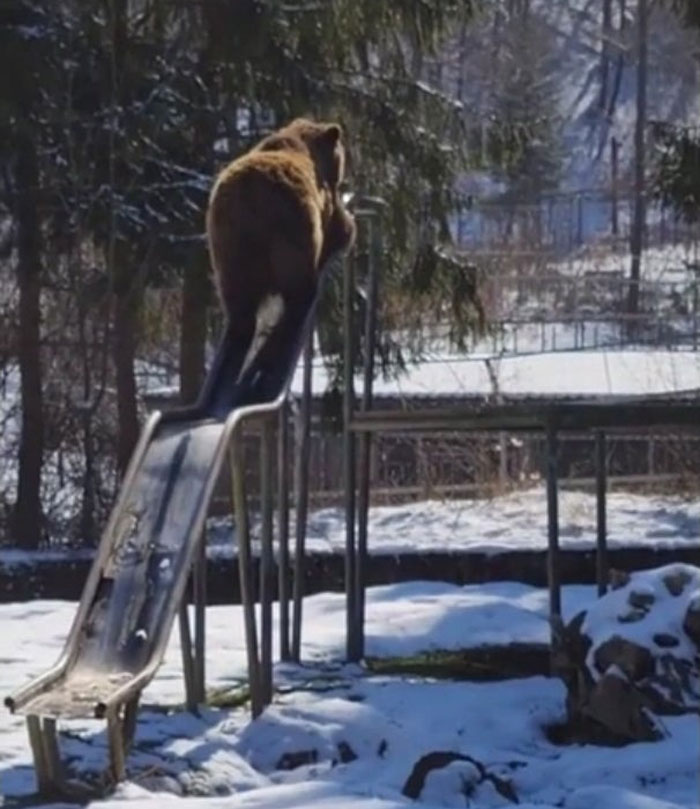 Just Like We Did In Elementary School