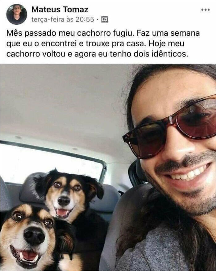 Last Month My Dog ​​ran Away. It's Been A Week Since I Met Him And Brought Him Home. Today My Dog ​​came Back And Now I Have Two Identical Ones