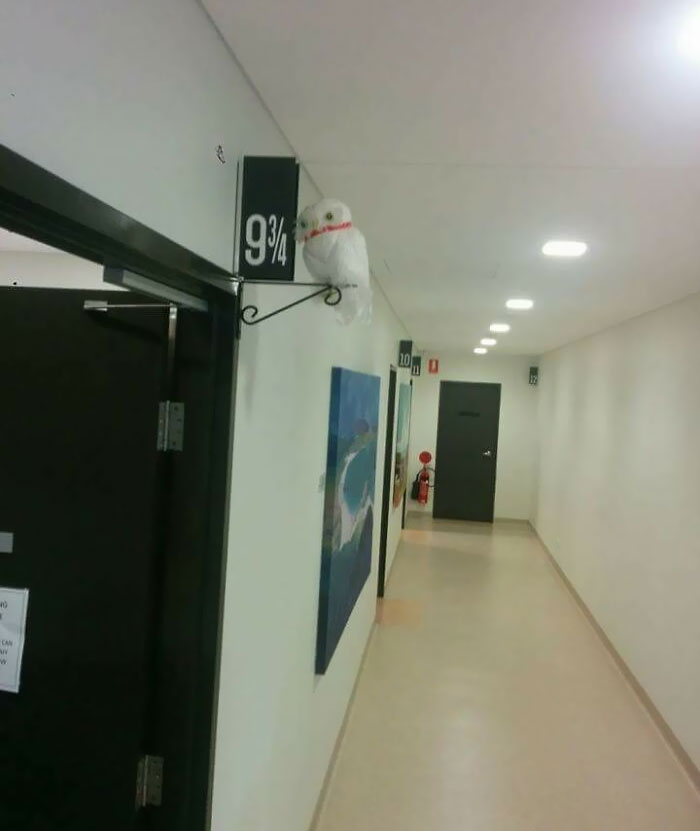 My Doctor's Office Has A Room 9 3/4