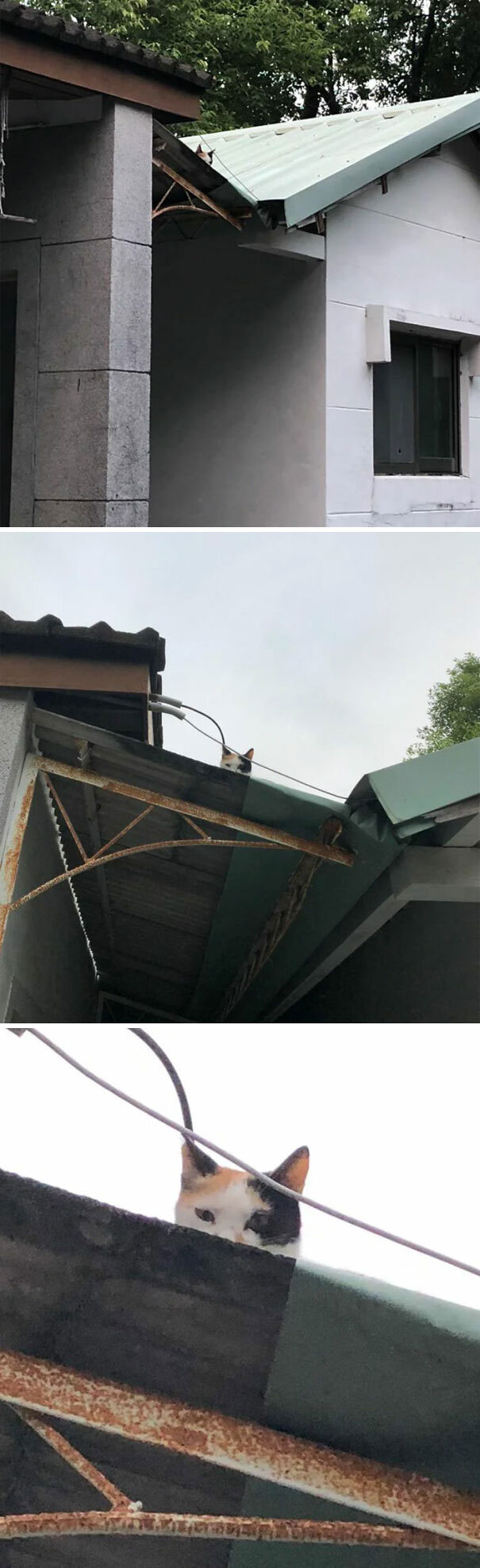 I Know What You Did And Where You Hid It