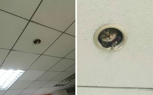 A Photo Sent By A Colleague