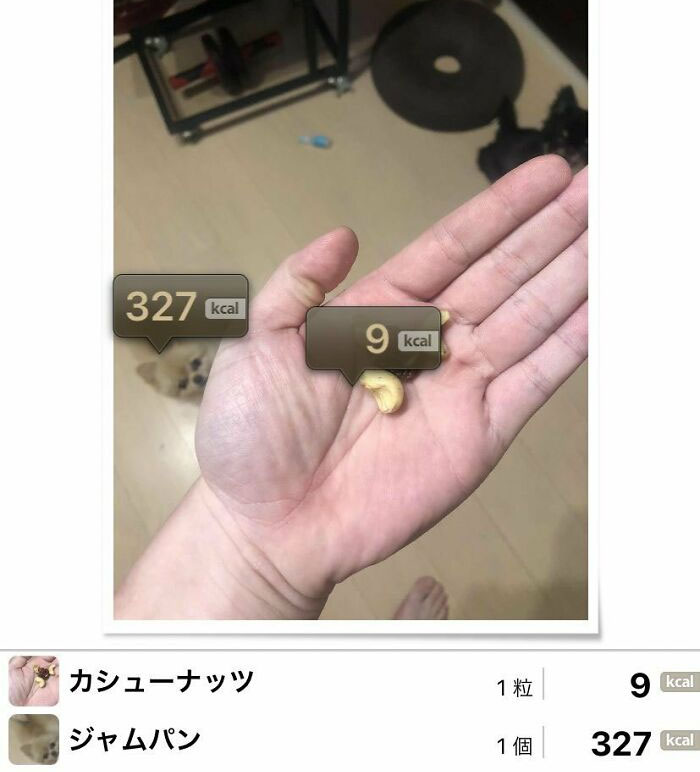 No, I Don't Think That's A Jam Bun