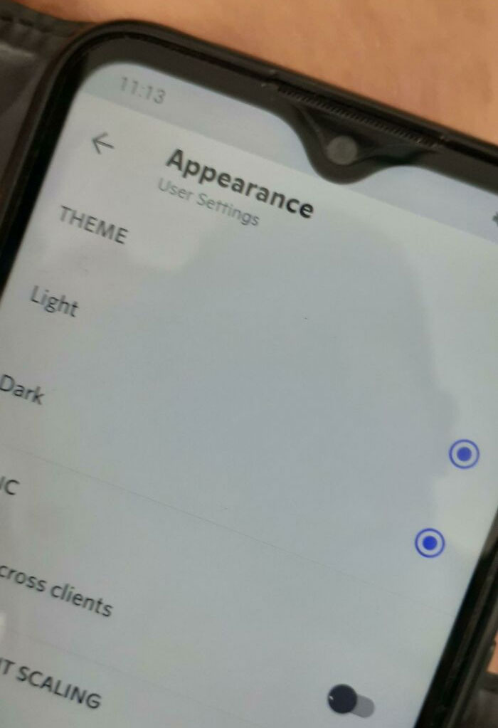 Now I Heard Of Dual Wielding, But Never Heard Of Dual Theming