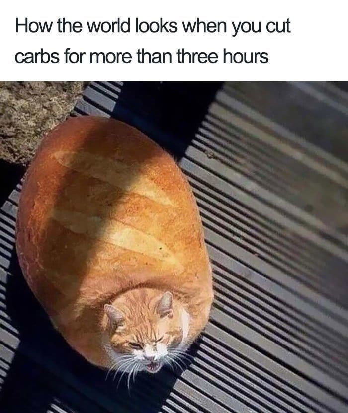 Funny-Food-Memes-Pics