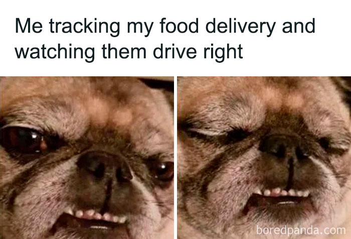 Funny-Food-Memes-Pics