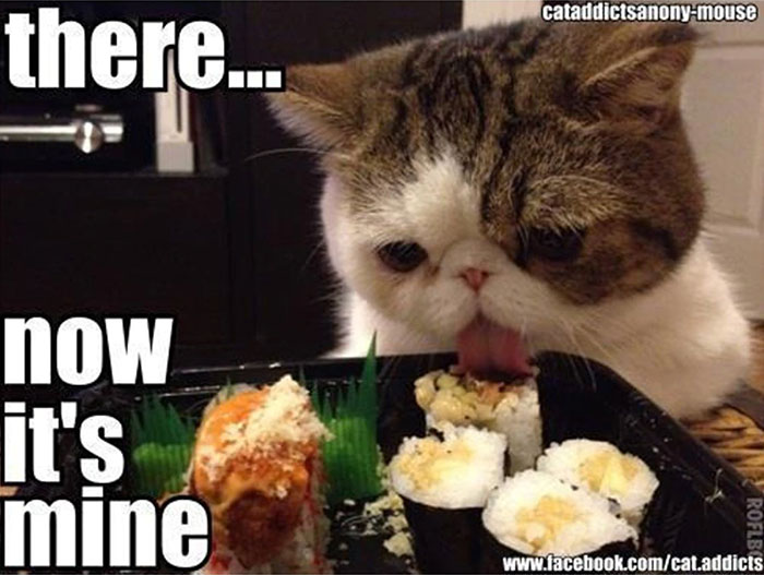 Funny-Food-Memes-Pics