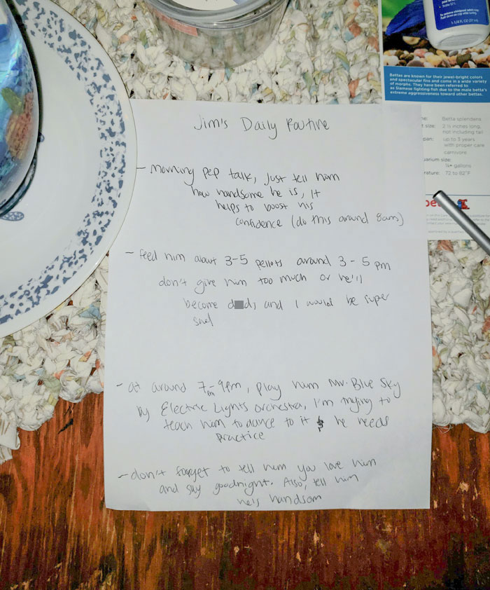 My Sister Just Got A Fish. He's Her Everything. She Went Out Of Town For The Weekend And Left This