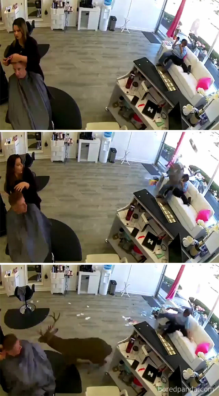 Just A Regular Day At The Saloon...