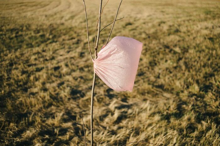 Guy Tells Story Of Friend Taking 3 Trash Bags From Work And Getting Fired, Now People Are Sharing Similar Stories Guy Tells Story Of Friend Taking 3 Trash Bags From Work And Getting Fired, Now People Are Sharing Similar Stories