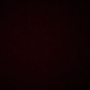 elizabethmellette avatar