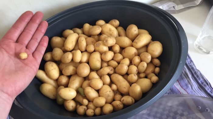 They Are Small - But Homegrown And Organic