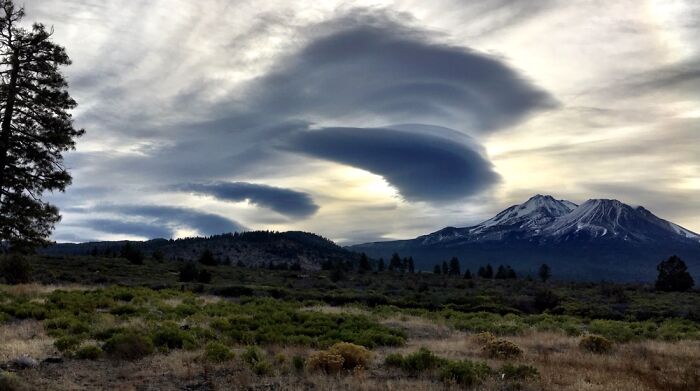 Near Mt Shasta, Ca