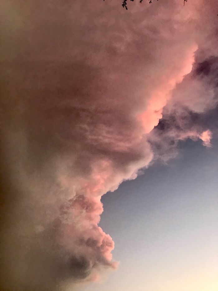 Pink Storm Coming On