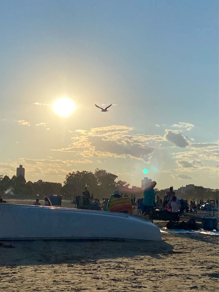 Sun shining over a beach with people enjoying the weather and a bird flying in the clear September sky.