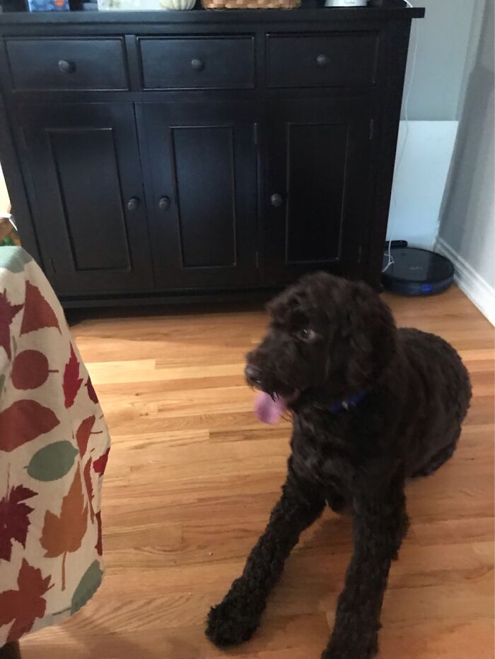 Captured At The Perfect Moment