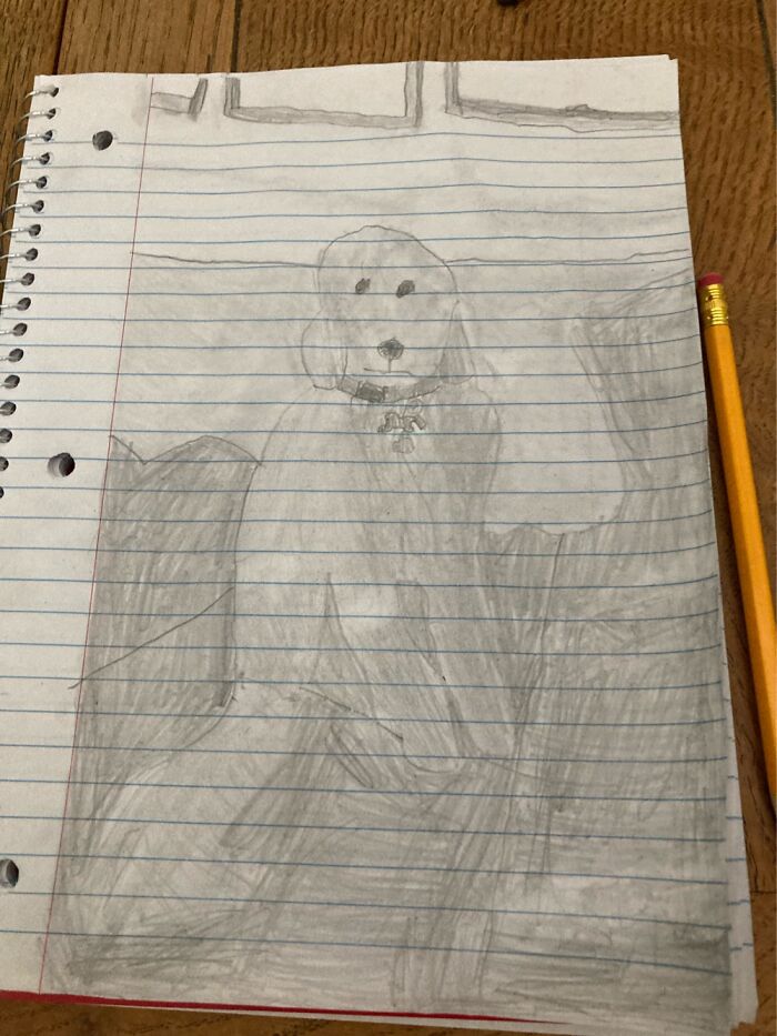 A Drawing Of My Grandma’s Dog. The Previous Post Shows The Picture I Drew It From.