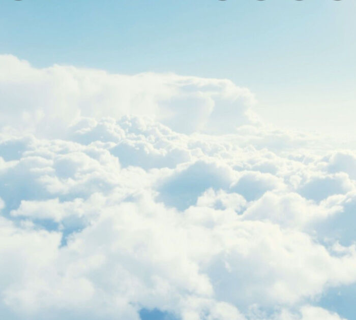 Hey Pandas! What’s Your Favorite Netflix Show?