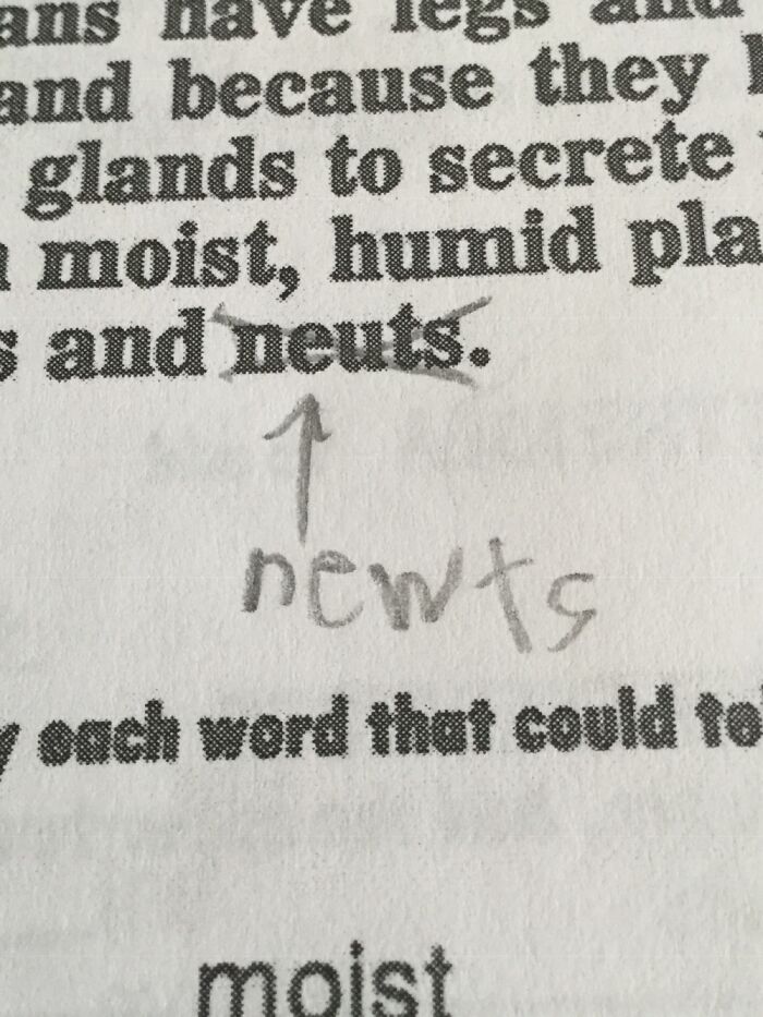 School Work Misspelled