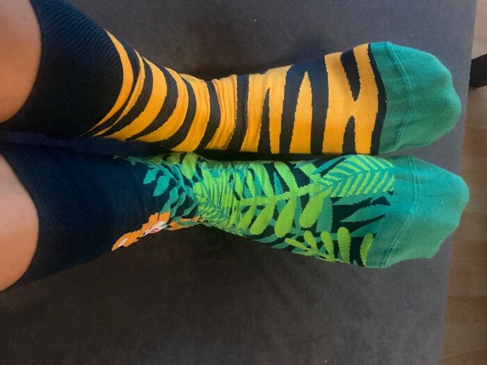 Tiger In The Jungle Socks