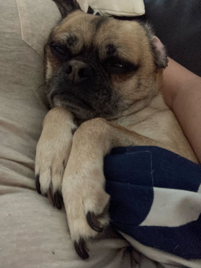 Richard Parker Is Feeling A Serious Need For Intense Snuggles