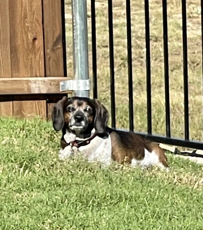 Sherlock Being A Sunshine Boy