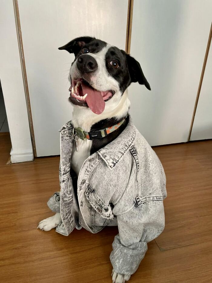 Sally Always In Style