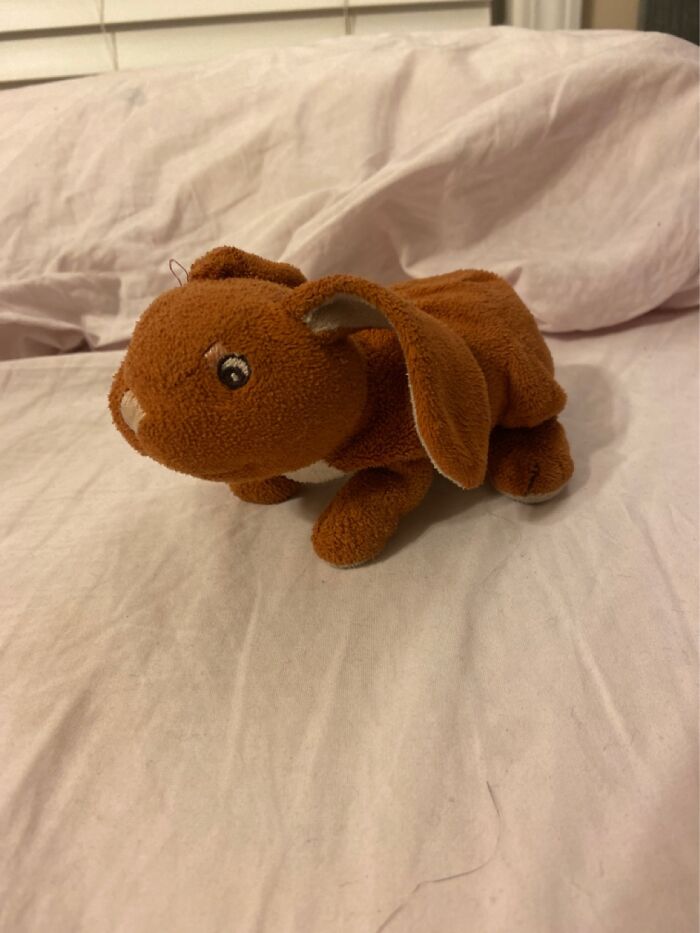 This Is My Bunny Named Bunny :d I Cannot Sleep Without Her I Am Autistic Too