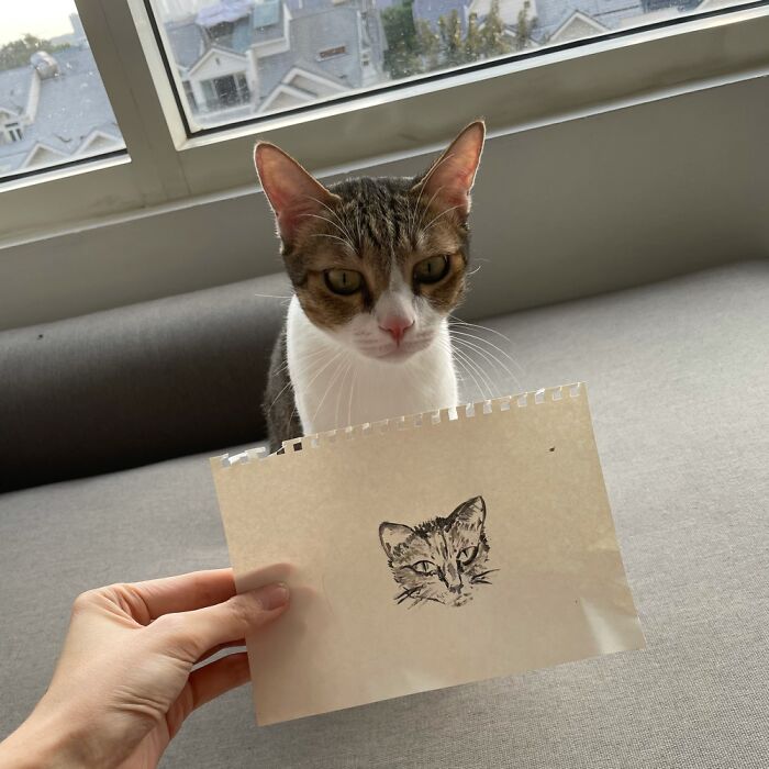 He’s Not Impressed! His Name Is Simba