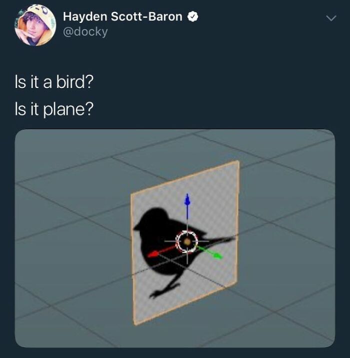 Tweet Tweet Goes The Jumbo Jet