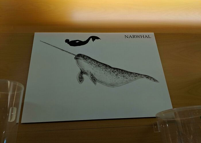 The Phallus Museum In Reykjavik, Iceland Uses Mermaids To Gauge Size