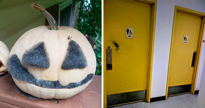 50 Things Worn Down Over Time That Tell Interesting Stories (New Pics)