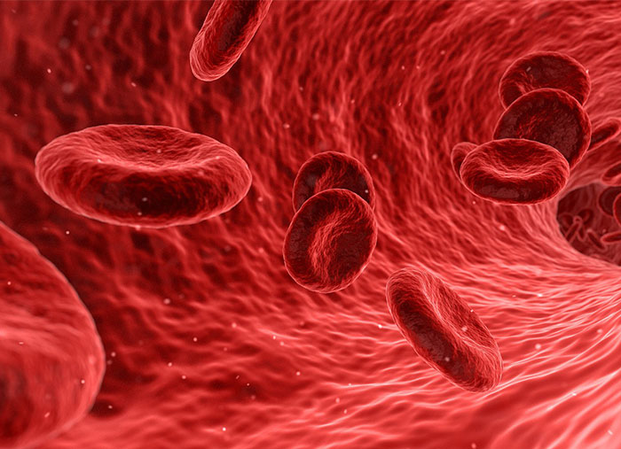 30 Myths That Widely Circulate As Truth, According To This Viral Thread