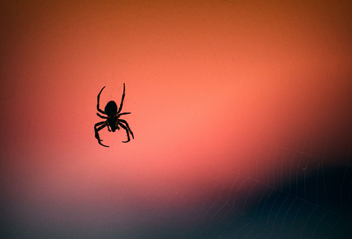 30 Myths That Widely Circulate As Truth, According To This Viral Thread