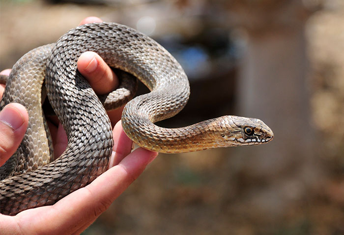 30 Myths That Widely Circulate As Truth, According To This Viral Thread