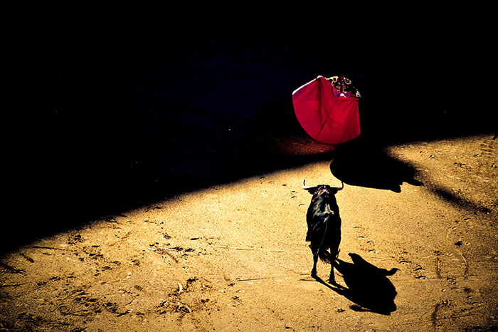 30 Myths That Widely Circulate As Truth, According To This Viral Thread