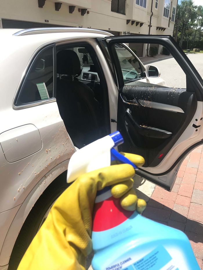 Just Had My Car Detailed And My Kid Was Sick