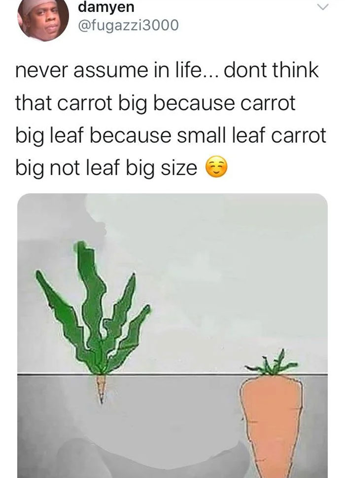 Confusing and hilarious train of thought about carrot size and leaf size illustrated with a quirky drawing.