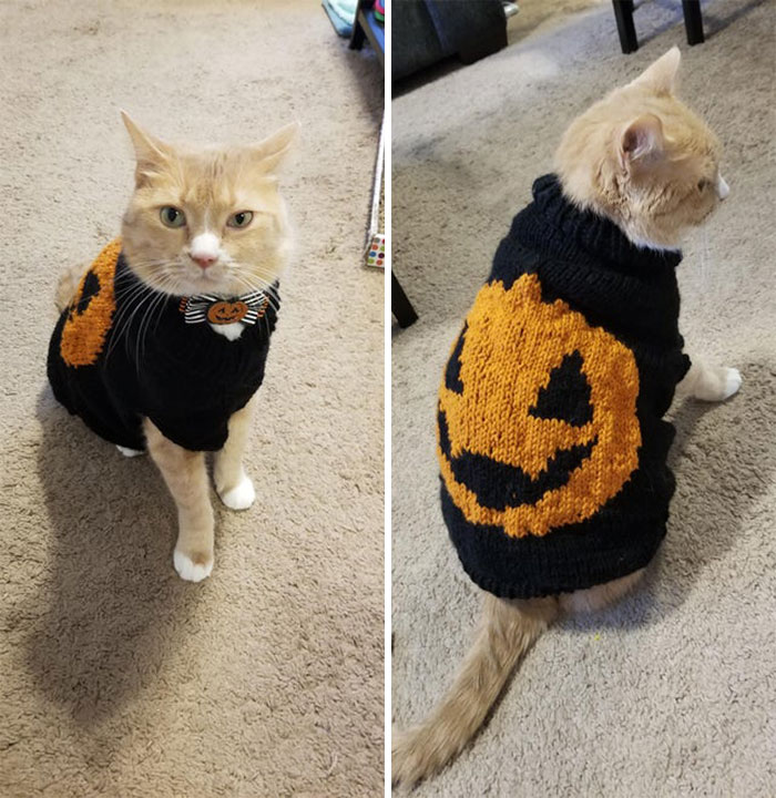 The Latest In Fall Knitwear Fashion