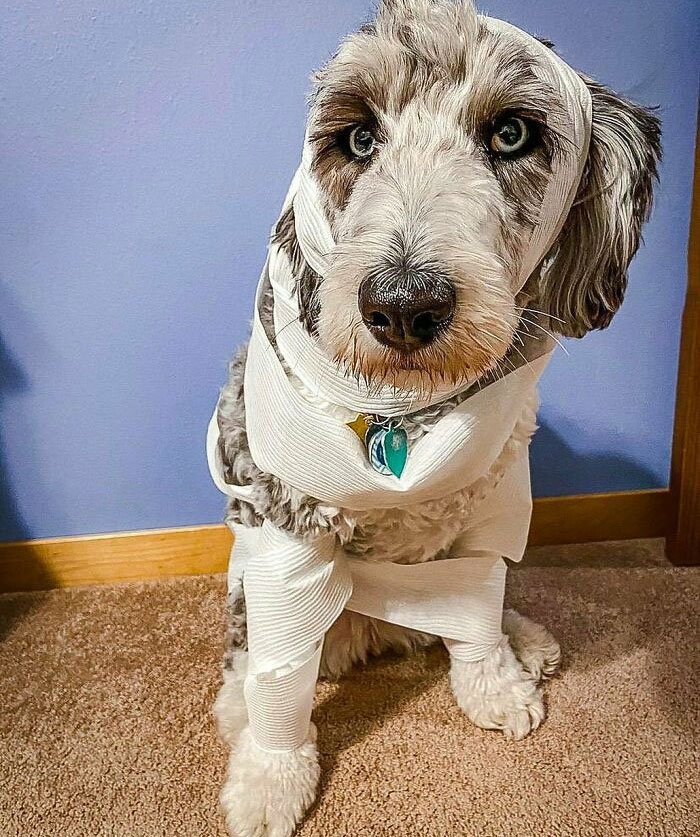 Why Don’t Mummies Take Time Off? Because They Are Too Afraid To Unwind